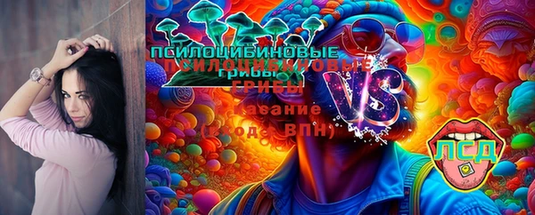 первитин Горно-Алтайск