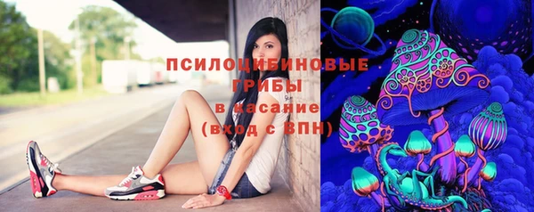 прущие крисы Горняк