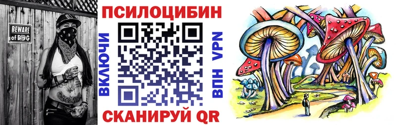 KRAKEN   Назарово  Галлюциногенные грибы ЛСД 