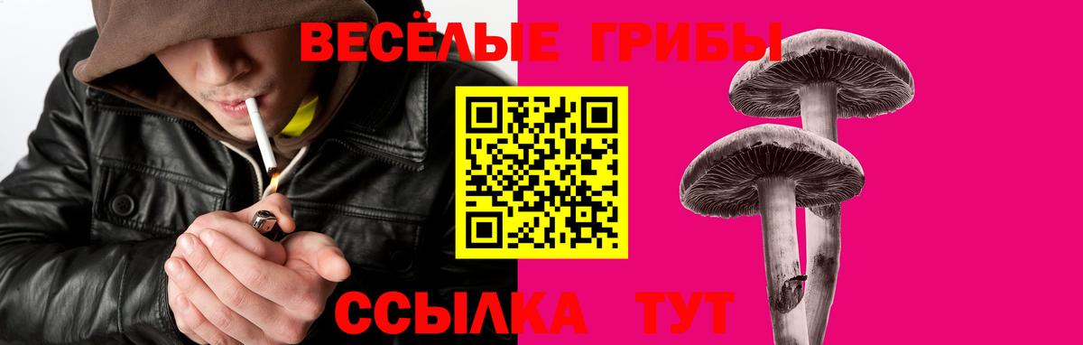 Галлюциногенные грибы Magic Shrooms Назарово